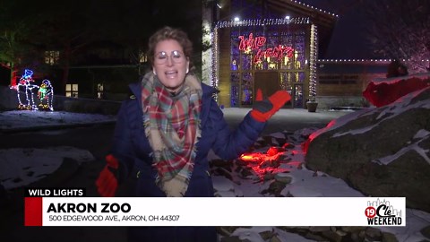 Akron Zoo's Wild Lights: A Million Lights and Festive Fun!