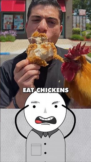 Why Do Chickens Eat Meat? - Why Herd