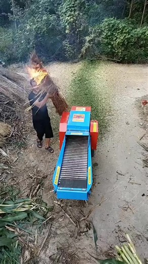 #chaffcutter#chaff#cutter#crusher#chopper#machine#stalk#corn#grass#silage#forage#fire#factory#farmlife #agriculture #poultry #feed#animals#cow#sheep#pig#fyp #tiktok