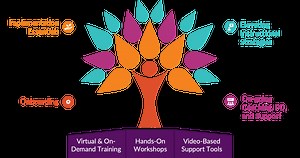 Professional Development