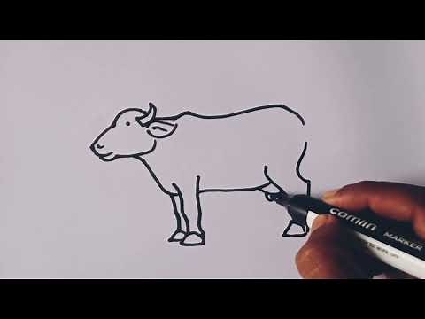 How to draw Buffalo 🐃 /Buffalo drawing easy step by step /Animal drawing