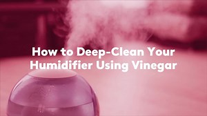 How to Deep-Clean Your Humidifier Using Vinegar