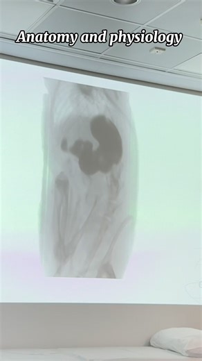 #StudyAtCUHK #CUHKEngineering Hi, I’m Cherry, a Year 2 Biomedical Engineering (BME) student at CUHK from Thailand. Here’s a quick look at my BME journey so far! From Theory to Practice BME is all about hands-on learning! In Year 1, I built a strong foundation with core courses like Calculus, Mechanics, and Anatomy & Physiology. Year 2 dives deeper into engineering and life sciences, like Coding, Biomechanics, Circuits, and Cell & Molecular Biology. Learning by Doing During summer training, I bui