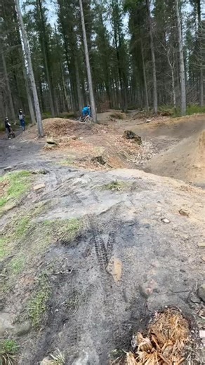 Mastering Mountain Biking Techniques for Beginners