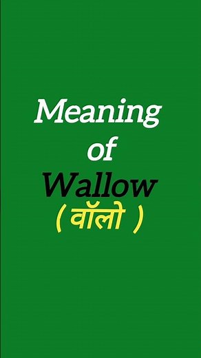 💦 Meaning of WALLOW 💦 #englishwordmeaning