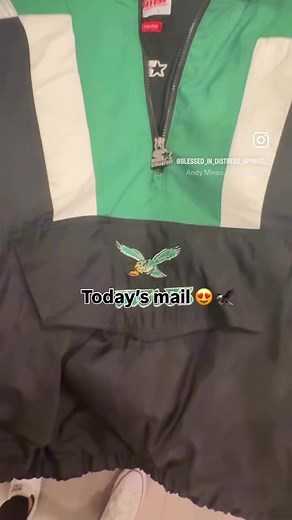 What a friggen beaut, amirite? #philadelphiaeagles #gobirds