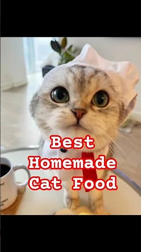 Homemade Cat Food recipe😻#cats #shorts #catfood If your cat has diarrhea,this cat food could help