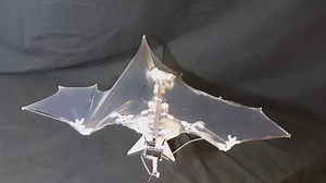 Bat Bot can fly! (sort of) #Robotics