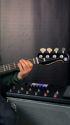 Fleetwood Mac - Go Your Own Way (bass) #basscover #fleetwoodmac