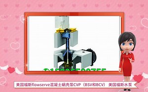 美国福斯flowserve混凝土蜗壳泵CVP（BSV和BCV） 美国福斯水泵