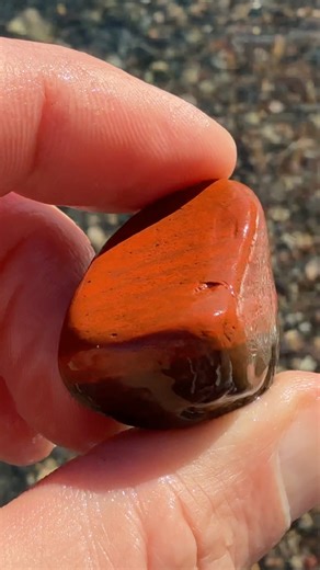 Michigan Rocks on Reels