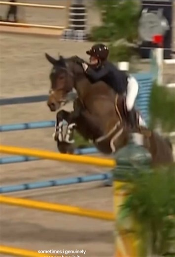 jessica’s (@jessicasspringsteen)’s video of horses