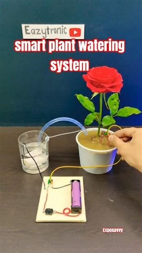 Automatic Plant Irrigation System Without Arduino 💧 | Smart DIY Watering Hack 🌱 #Shorts #irrigation