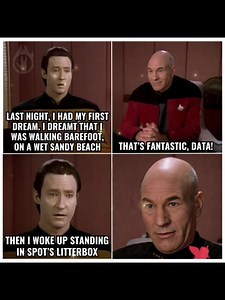 Data's first dream had a plot twist! 😂 #StarTrek #TNG #Data #Picard #SpotTheCat #DreamFail" | Redshirt Shenanigans