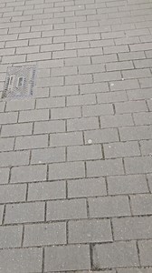 14K views · 74 reactions | Savoir agir, c’est pouvoir sauver. Formez vous aux premier secours dès aujourd'hui  https://bit.ly/4gmJ9Tw Dans l'urgence, chaque seconde compte. | Croix-Rouge de Belgique | Facebook