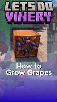 How to Grow Grapes in Lets Do Vinery