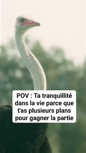 Pourquoi est-il risqué d’exposer l’intégralité de son patrimoine au seul marché immobilier ?