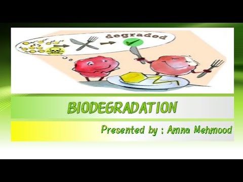 Biodegradation, Biodegradability, Degradation time, Types, factors, pros & cons,conclusion.