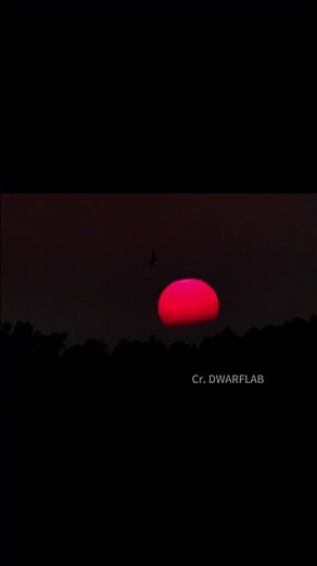 Check out this DWARF 3 time-lapse collection!