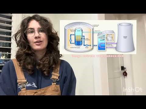 The Fission Feat: A Brief Overview of Nuclear Reactors and the Science Behind Them