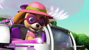 PAW Patrol Season 6 Episode 6 Promo