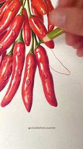 18K views · 14K reactions | "Spice of Life" ️ When colored pencils...