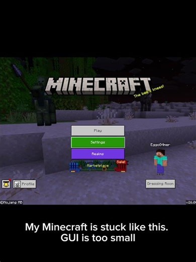 My Minecraft GUI is too small. Btw it isn’t my iPad that is causing it.
