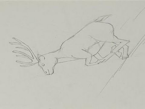 How To Draw A Running Deer
