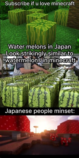 w Japan lol #minecraft #minecraftedit #minecraftfunny #minecraftrealistic #memes #ariamath #gaming