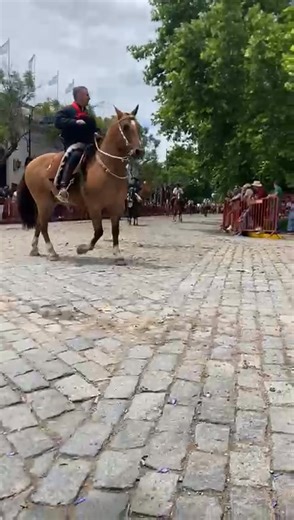 P Julio Ramos on Reels