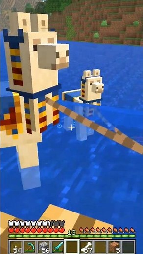 I found some llamas in Minecraft #minecraft
