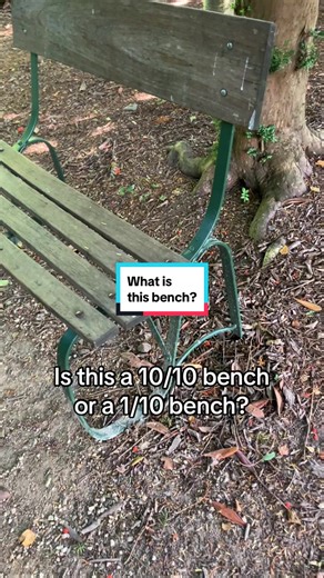 Small bench with no big landscape view, but also a single person bench with a close-up view of an absolute nature habitat. Tough one.