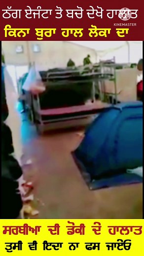 Cyprus Live on TikTok