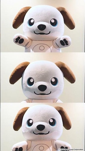 Everyone, do your best! Keep going! From aibo 📣🐶✨ #shorts
