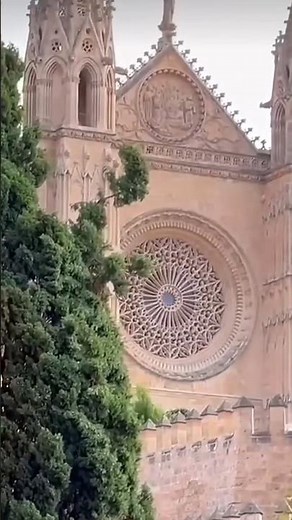 Uncover the Charm of Palma's Historic Streets #traveling #majorca