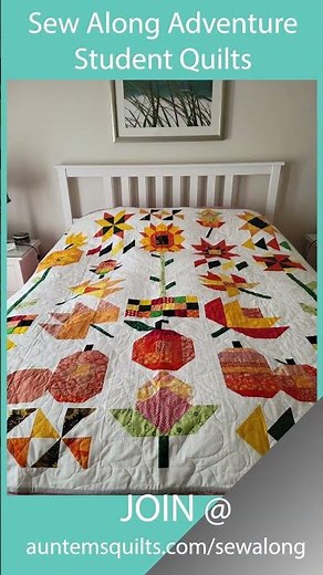 Aunt Em's Sew Along Adventure Student Quilts
