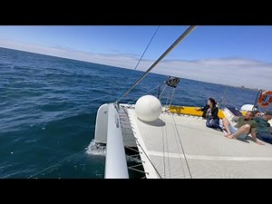 Quiberon Belle-Ile à la voile : décarbonation du transport passagers maritime par Iliens