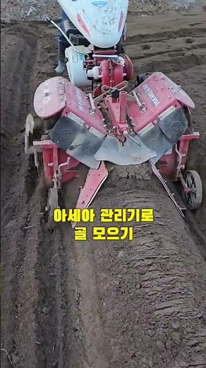 아세아 관리기로 골 모으기 두둑만들기 #shorts #아세아관리기 #관리기