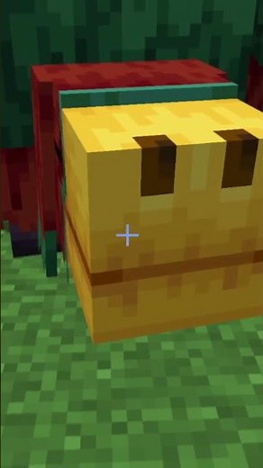 🤣C'EST QUOI ce MOB ?? (Minecraft 1.20)