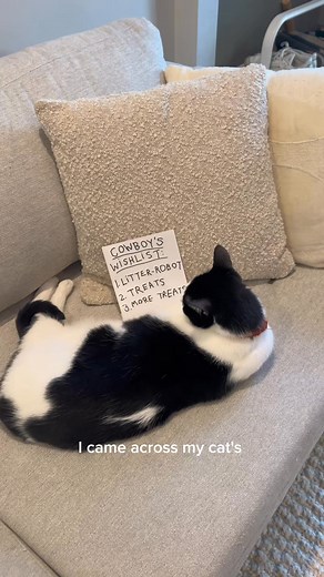 Because no one asked Santa for a dirty litter box. Treat yourself and your cat with up to $150 off Litter-Robot bundles for a limited time! | Litter-Robot by Whisker