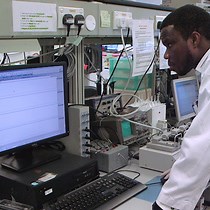 Modulation of Mesenteric Arteries by Adipose - JoVE Journal