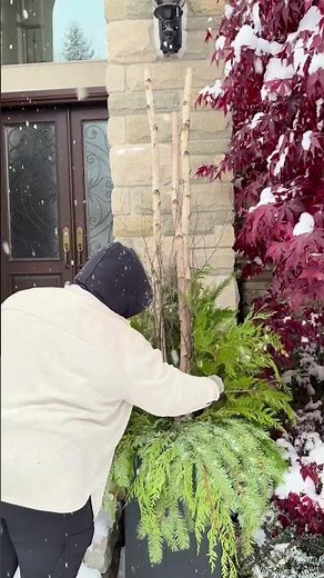 Tall Birch Winter Planters Are EVERYWHERE Right Now ❄️🌲 (Here’s How!)