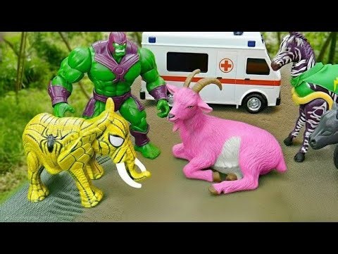 SAPI🐄‼️🐄 WADIDAU COW LOADING ON TURBO TRUCK, COLOURFUL COW CARTOON VIDEO SAPILUCU