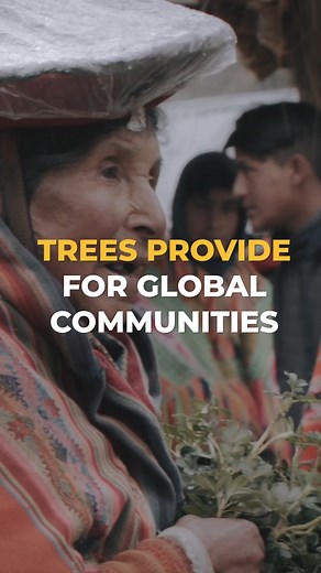 21 reactions | Planting trees makes a social impact by providing...