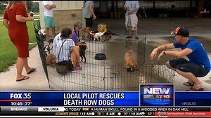 Winter Park pilot rescues 'death row' dogs
