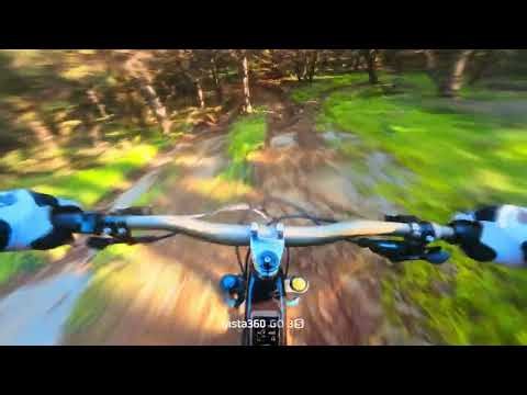 Red fox full speed!!