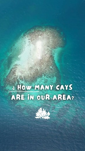 Honduras Coral Reef Fund | Fundación Cayos Cochinos on Instagram: "🌴 Cayos Cochinos: A Natural Paradise We Must Protect 🐠✨ The Cayos Cochinos are located in the Caribbean Sea off the northern coast of Honduras and it is located on bay island. This archipelago consists of 2 main cays and several smaller islets, the most important being Cayo Menor and Cayo Mayor. 🏝 This destination is not only a paradise for sea lovers but also a place of great ecological value. The coral reefs, crystal-clear w
