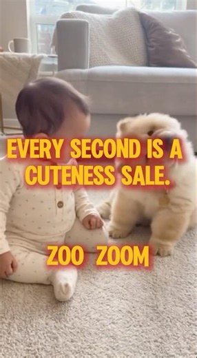 👶Chow Chow Puppy: My New Playmate… and Softest Pillow! 👶#chowchow #babyanddog #cuteanimals