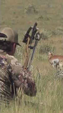 Archery Antelope Hunting #hunting #bowhunting #archery