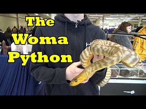 The Woma Python
